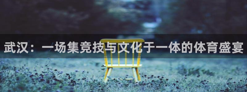 武汉：一场集竞技与文化于一体的体育盛宴