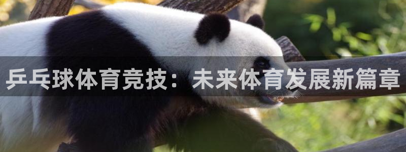乒乓球体育竞技：未来体育发展新篇章