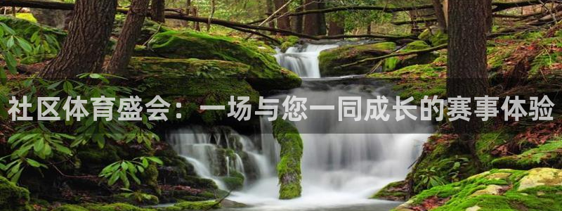 社区体育盛会：一场与您一同成长的赛事体验