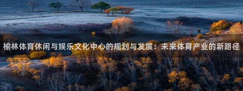 榆林体育休闲与娱乐文化中心的规划与发展：未来体育产业的新路径