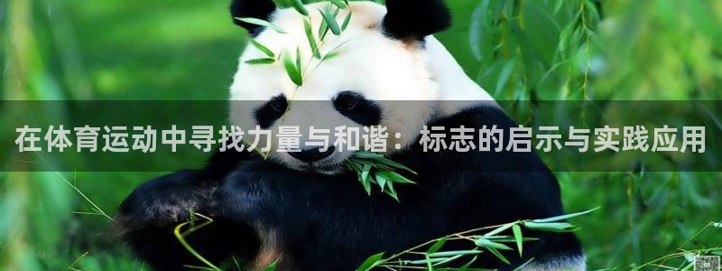 在体育运动中寻找力量与和谐：标志的启示与实践应用