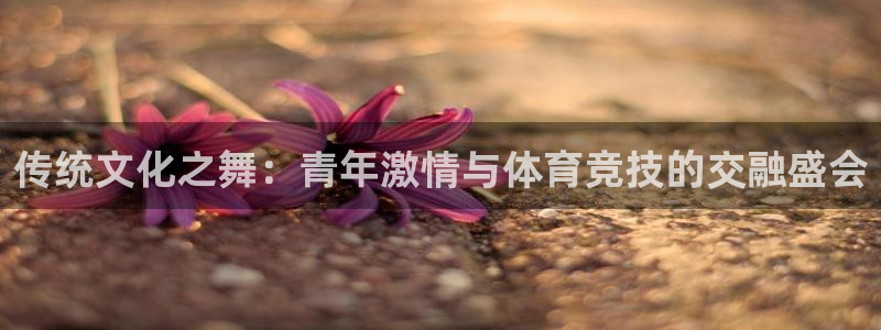 传统文化之舞：青年激情与体育竞技的交融盛会