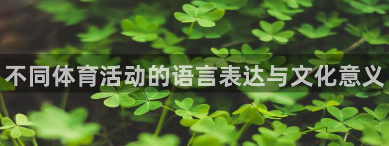 不同体育活动的语言表达与文化意义